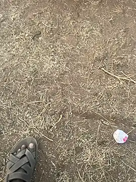 Snapshot of tamil000000 chatting on 03/10/25, 12:48 tamil000000 online show from 03/10/25, 12:48