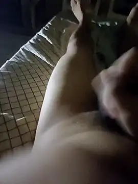 Snapshot of pedronovinho123 chatting on 12/02/24, 02:53 pedronovinho123 online show from 12/02/24, 02:53