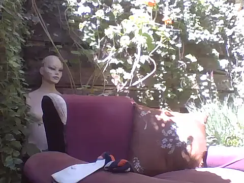 sweetbabyass online show from 03/14/25, 04:51