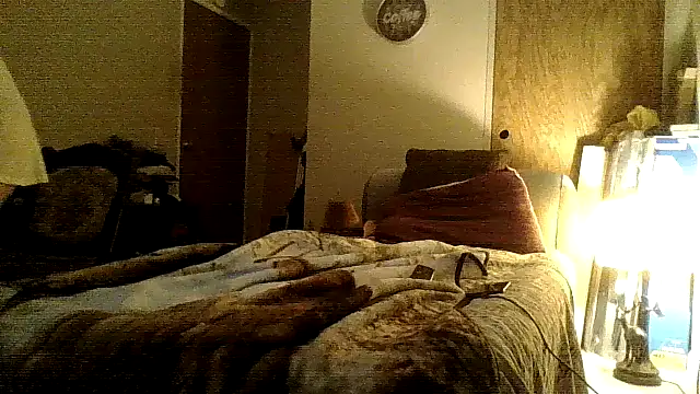 Jay81 online show from 12/18/24, 09:04