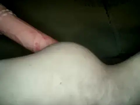 UnaDiosa online show from 12/24/24, 10:28