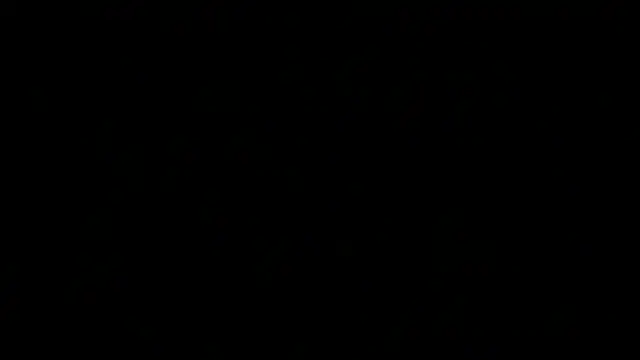 awesome anna online show from 03/19/25, 02:46