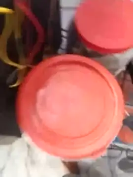 PracticalGum40 online show from 02/02/26, 02:54