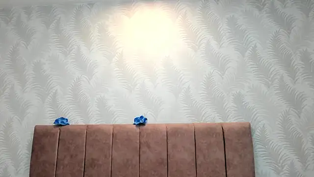 AddisonMars online show from 01/13/25, 03:47