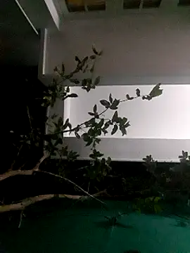 Jhon837486 online show from 12/29/24, 02:21