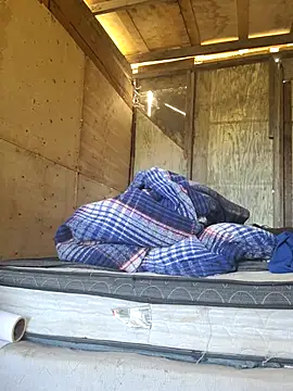 Carlosfkf online show from 04/04/26, 11:13