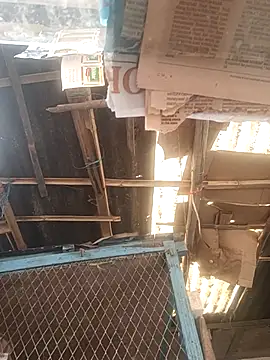 Skinny Bigass 23 online show from 12/01/25, 07:57