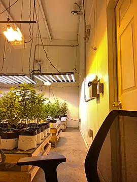 Snapshot of jr91esl chatting on 03/02/25, 06:05 jr91esl online show from 03/02/25, 06:05