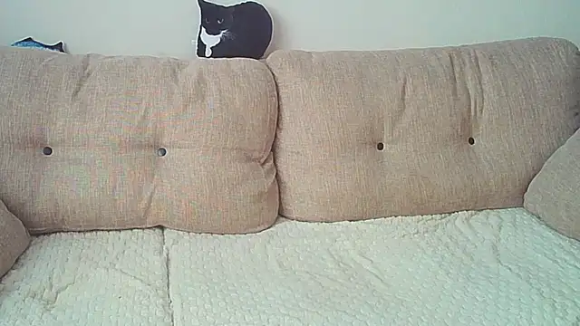 Snapshot of Ostin_meow chatting on 12/26/24, 08:07 Ostin meow online show from 12/26/24, 08:07