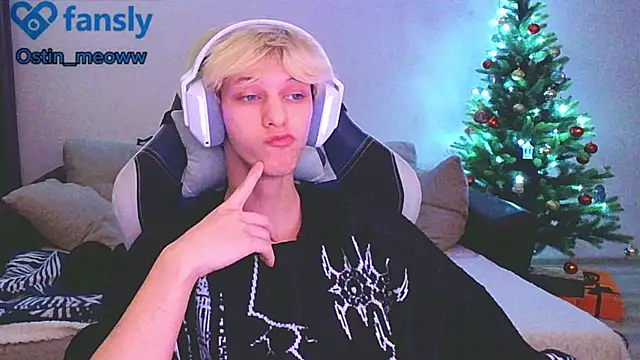 Snapshot of Ostin_meow chatting on 01/12/25, 03:46 Ostin meow online show from 01/12/25, 03:46