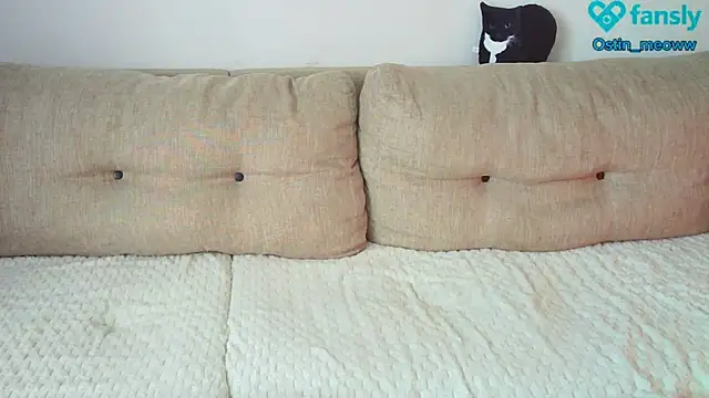 Snapshot of Ostin_meow chatting on 02/25/25, 08:14 Ostin meow online show from 02/25/25, 08:14