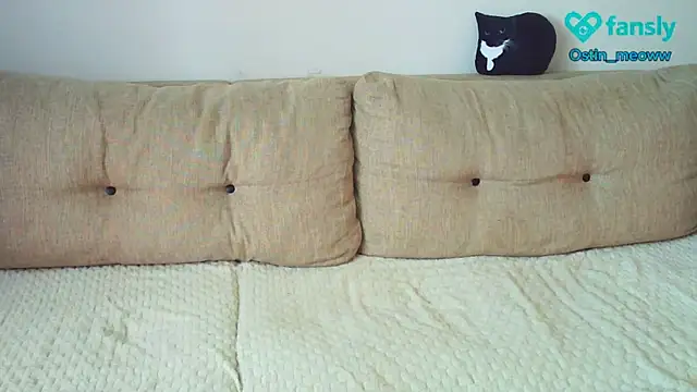 Snapshot of Ostin_meow chatting on 03/19/25, 06:14 Ostin meow online show from 03/19/25, 06:14