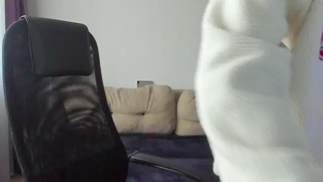 Ostin meow online show from 11/07/25, 07:08