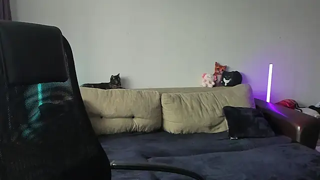 Snapshot of Ostin_meow chatting on 07/03/26, 01:06 Ostin meow online show from 07/03/26, 01:06