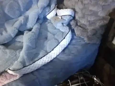 housewife shantie online show from 03/07/25, 06:54