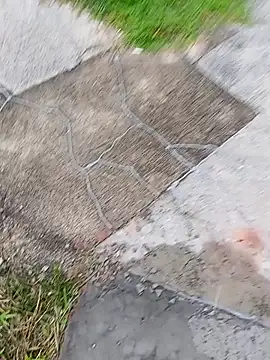 homenbuscalacto online show from 01/16/26, 08:51