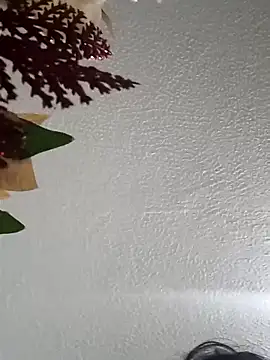 Naomy veracruz  online show from 02/11/26, 10:09