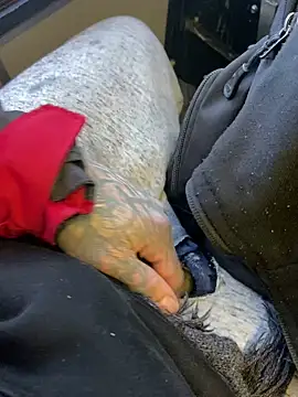 Fuckboy4public online show from 12/29/24, 04:08