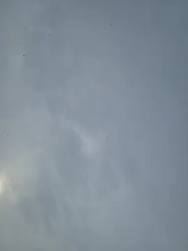 Fuckboy4public online show from 03/12/26, 11:22