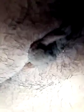 lemon69Reo online show from 02/26/25, 09:48