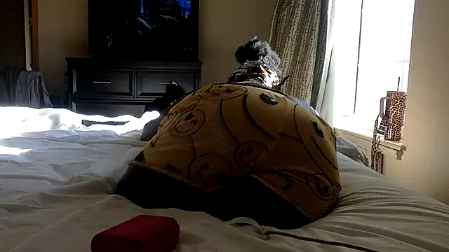 Cocabugattibad online show from 03/02/25, 10:05