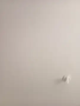 Morguisssz online show from 09/18/25, 01:02