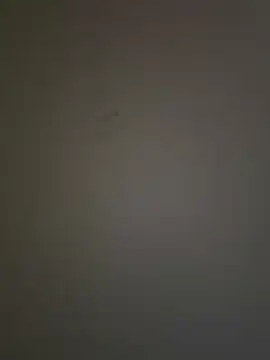 krishking1117 online show from 12/17/24, 06:45