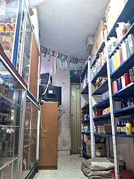 nidia2026 online show from 03/04/25, 05:24