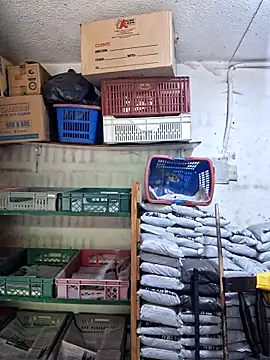 nidia2026 online show from 04/21/26, 01:06