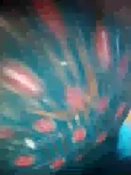 Ruby Sc online show from 12/08/24, 01:36