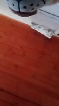 Darly Gomez online show from 12/31/24, 04:46