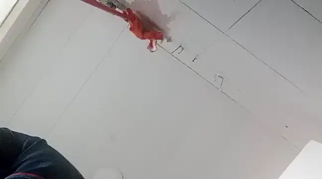 Darly Gomez online show from 01/02/25, 10:33