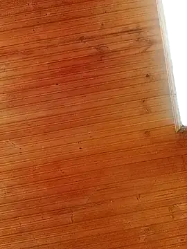 Darly Gomez online show from 03/01/25, 04:00