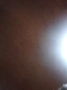 Darly Gomez online show from 03/04/25, 01:23