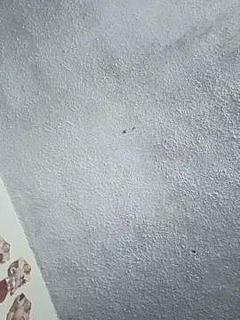 Darly Gomez online show from 01/31/26, 08:07