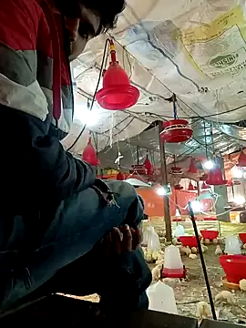 Snapshot of Roni1028 chatting on 12/31/24, 05:11 Roni1028 online show from 12/31/24, 05:11