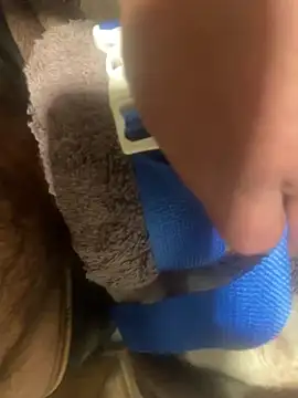 edgher646 online show from 02/11/25, 08:48