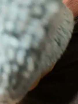 edgher646 online show from 02/27/26, 11:21