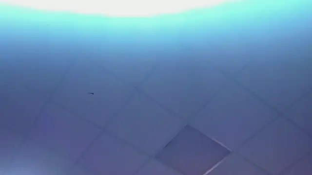 Lexy-Woorhez online show from 02/28/25, 01:36