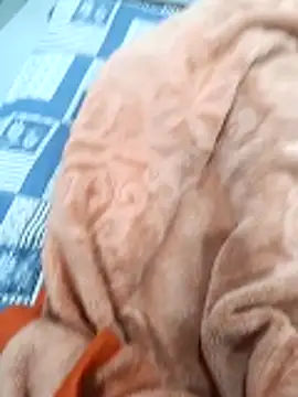 Kakabiraji online show from 11/08/25, 05:01