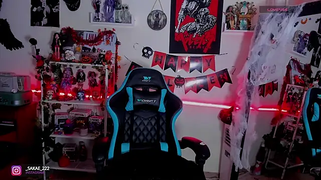 Snapshot of _sakae_ chatting on 10/27/25, 02:10  sakae  online show from 10/27/25, 02:10