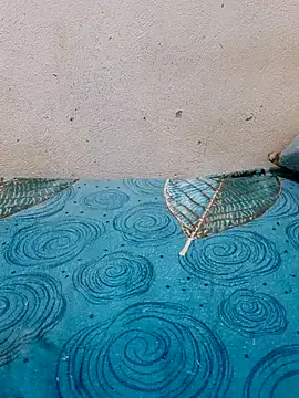 Linda-53 online show from 03/27/26, 08:30