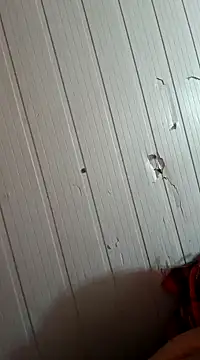 frotasso online show from 01/01/25, 10:32