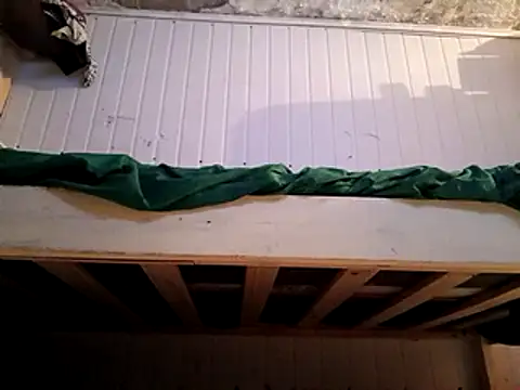 frotasso online show from 02/16/25, 05:48