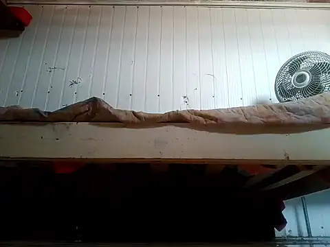 frotasso online show from 02/20/26, 03:23