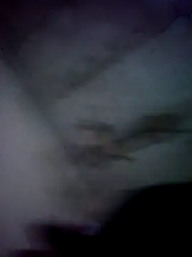 jolesin online show from 12/21/24, 02:47