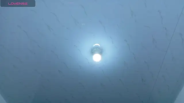 Beautifulkattia online show from 03/01/26, 01:18