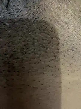 Gordelicia03 online show from 11/19/25, 03:12