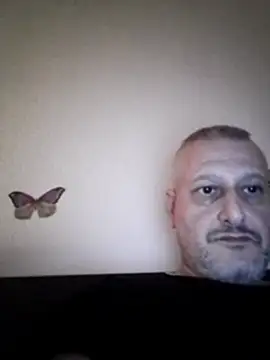 Husoban online show from 01/06/26, 05:49