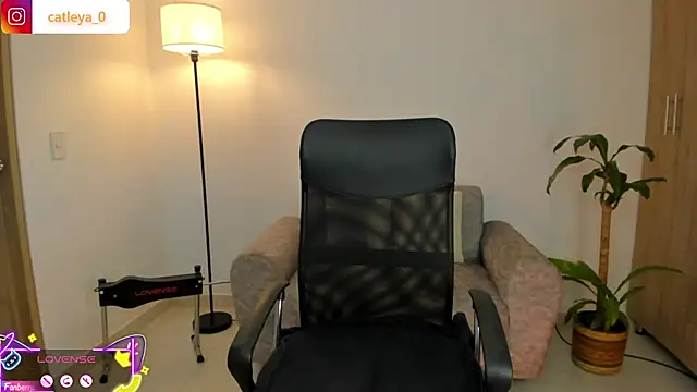 catleya 0 online show from 02/15/26, 03:03